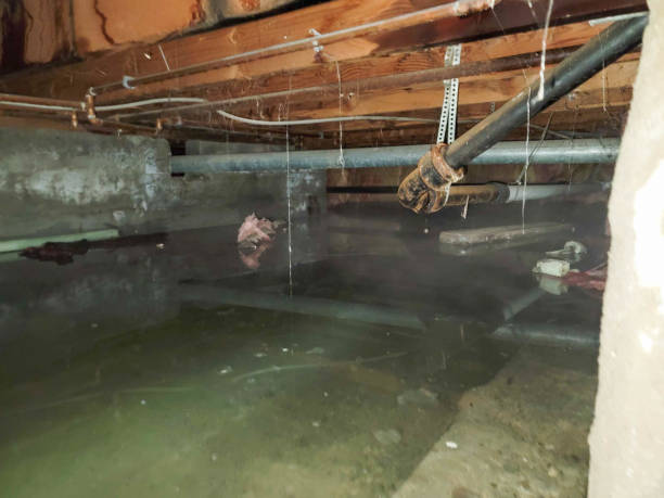 Best Residential water damage restoration  in North Haverhill, NH