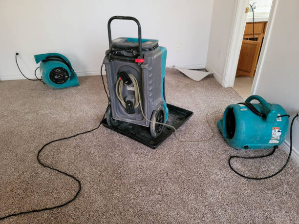 Best Basement water damage restoration  in North Haverhill, NH