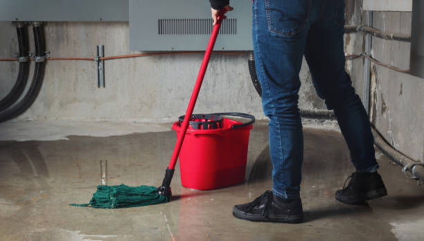 Reliable NH Water damage restoration Solutions