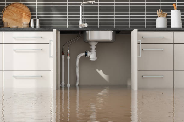 Best Water damage restoration insurance claims  in North Haverhill, NH